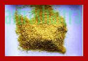 asafoetida hing